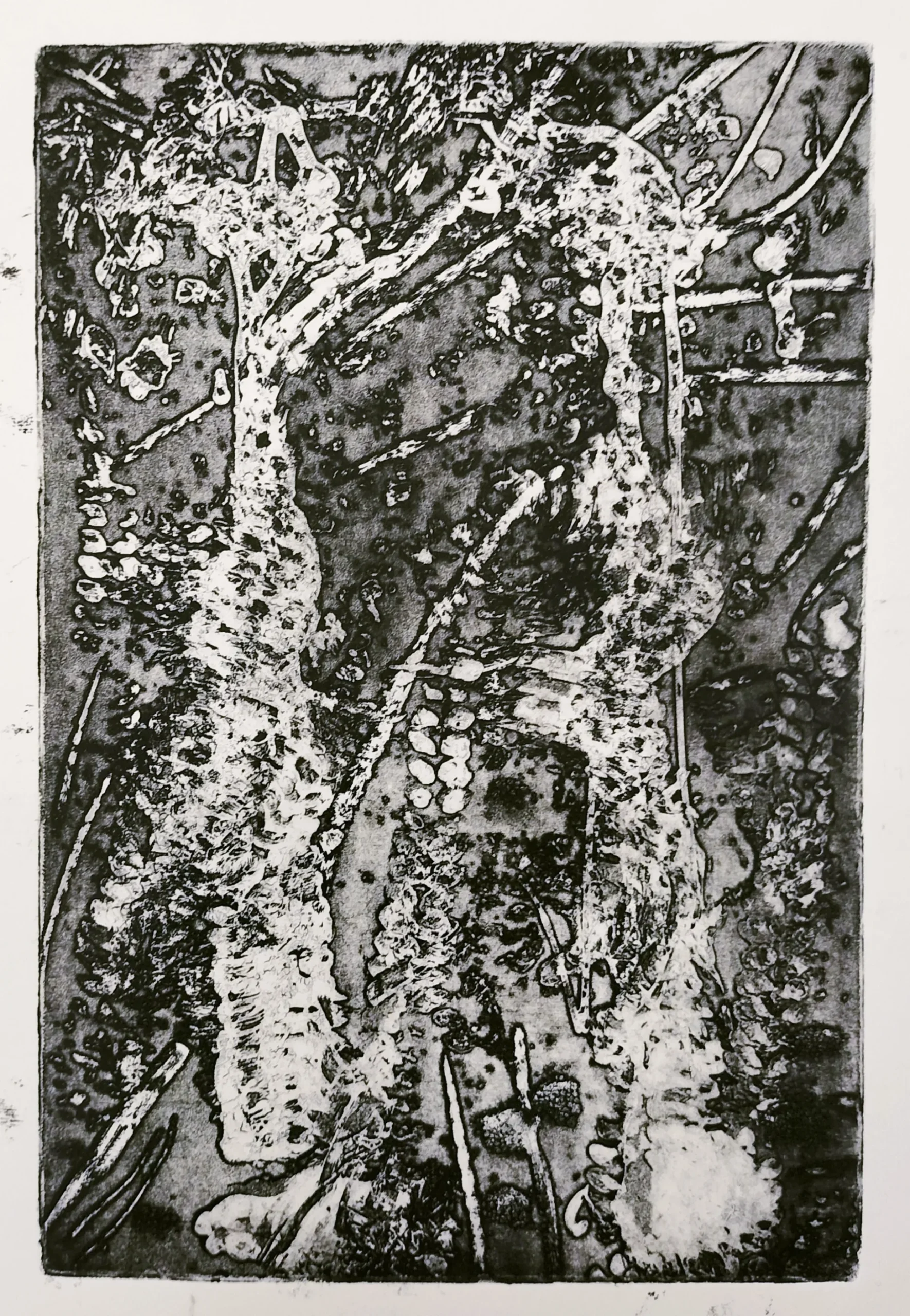 ACQUATINTA E. copia